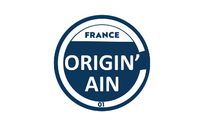 logo Origin Ain